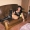 Bild von Anjamaus12